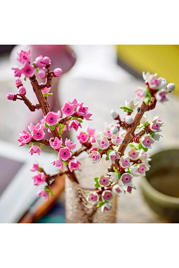 Botanicals Kiraz Çiçekleri